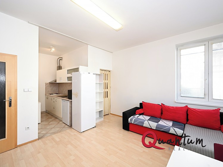 Pronájem bytu 1+kk 35 m² - foto 1