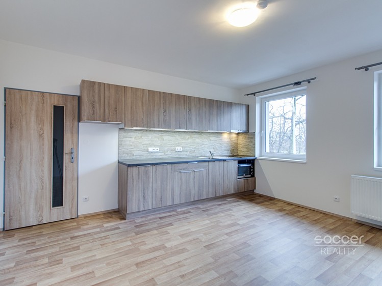 Pronájem bytu 1+kk 29 m² - foto 4
