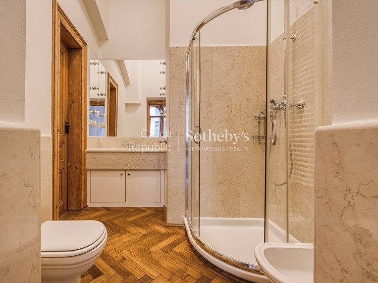 Pronájem bytu 6 pokojů a více 255 m² - foto 7