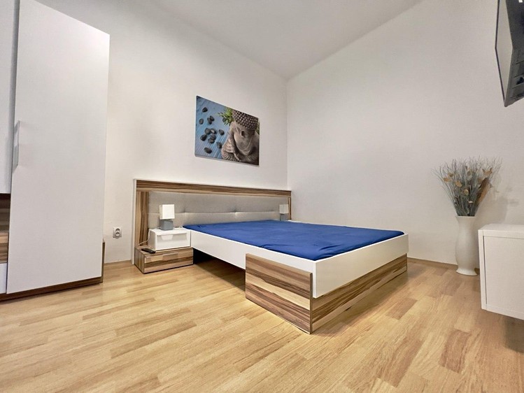 Pronájem bytu 2+1 75 m² (Jednopodlažní) - foto 4