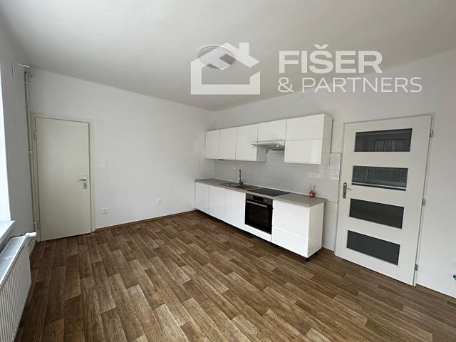 Pronájem bytu 1+1 39 m² (Jednopodlažní) - foto 2