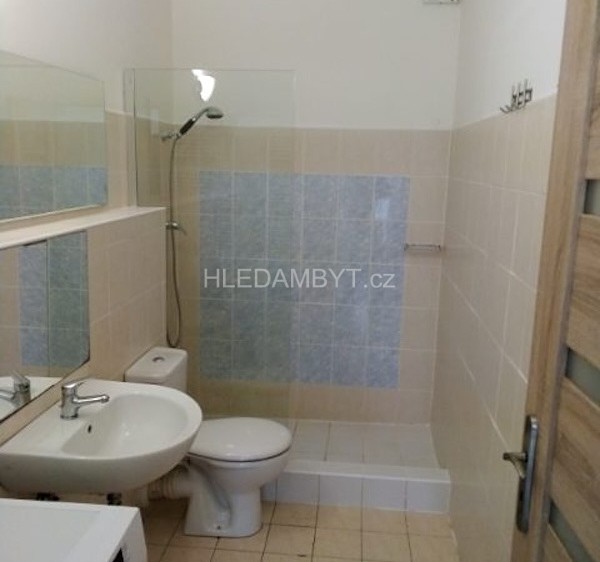 Pronájem bytu 1+kk 42 m² - foto 5