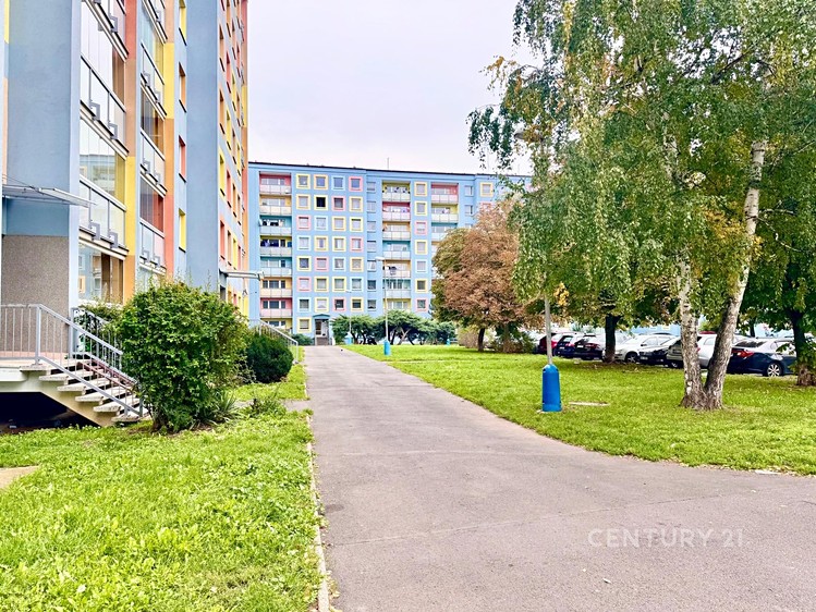 Pronájem bytu 3+1 73 m² - foto 1