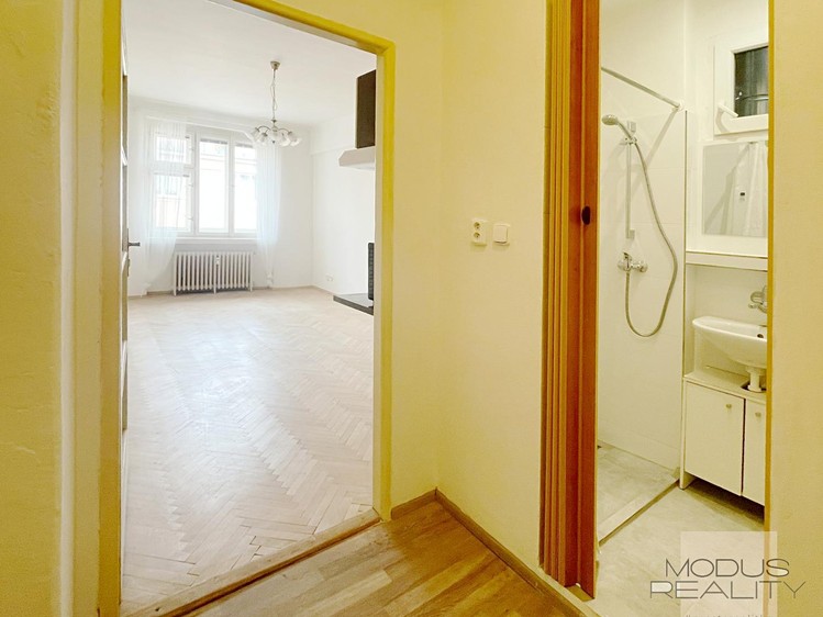 Pronájem bytu 1+kk 25 m² (Jednopodlažní) - foto 8