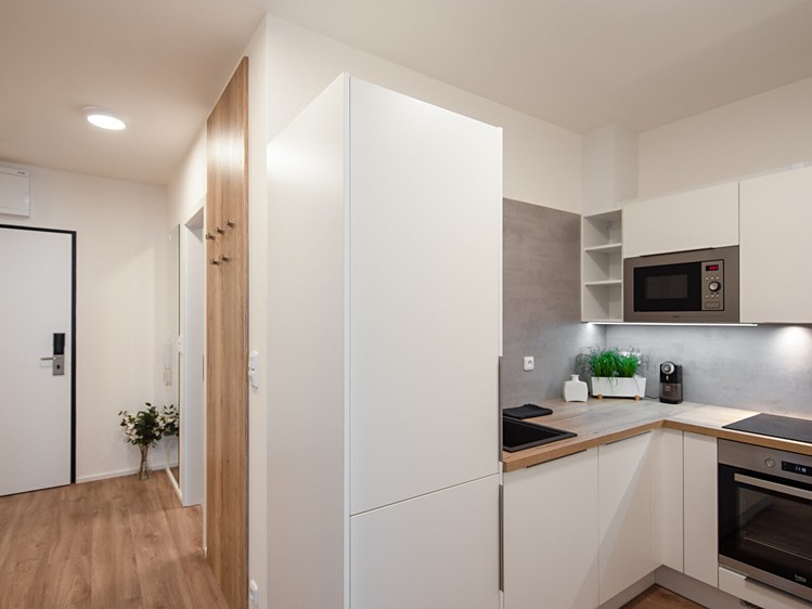 Pronájem bytu 2+1 43 m² (Jednopodlažní) - foto 2