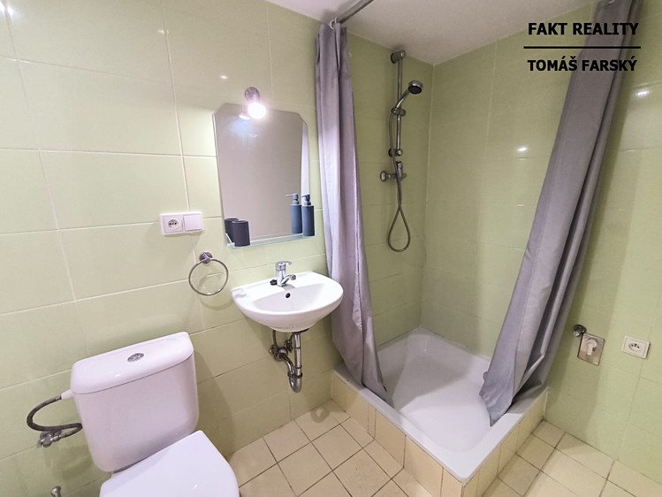 Pronájem bytu 1+1 37 m² (Jednopodlažní) - foto 3