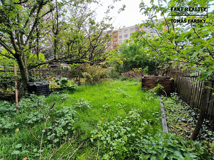 Pronájem bytu 1+1 37 m² (Jednopodlažní) - foto 8