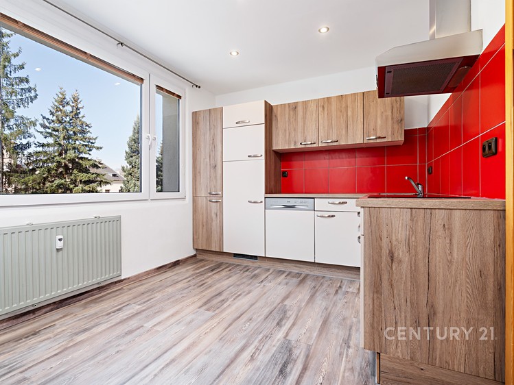 Pronájem bytu 1+1 40 m² - foto 6
