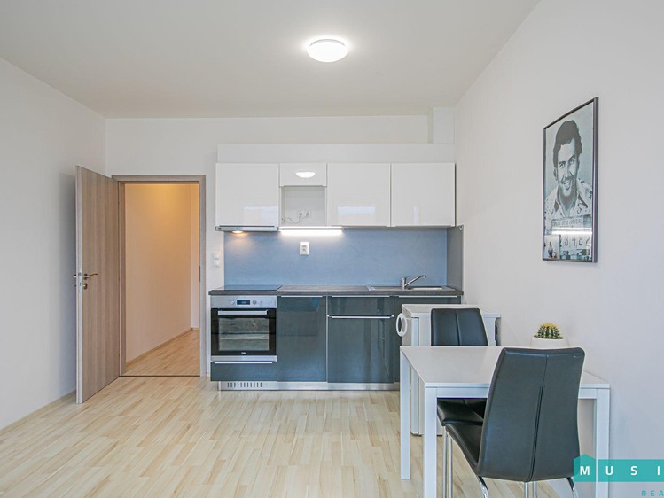 Pronájem bytu 1+kk 35 m² - foto 4