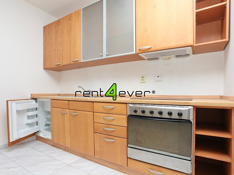 Pronájem bytu 1+kk 44 m² - foto 2