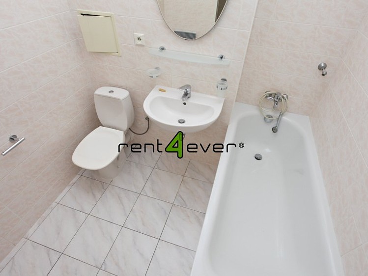 Pronájem bytu 1+kk 44 m² - foto 3