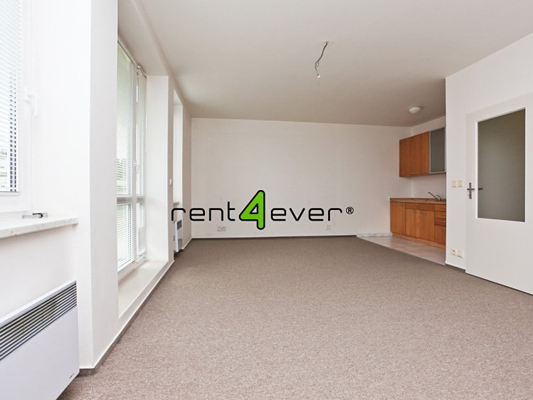 Pronájem bytu 1+kk 44 m² - foto 4