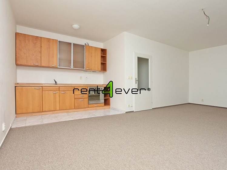 Pronájem bytu 1+kk 44 m² - foto 1