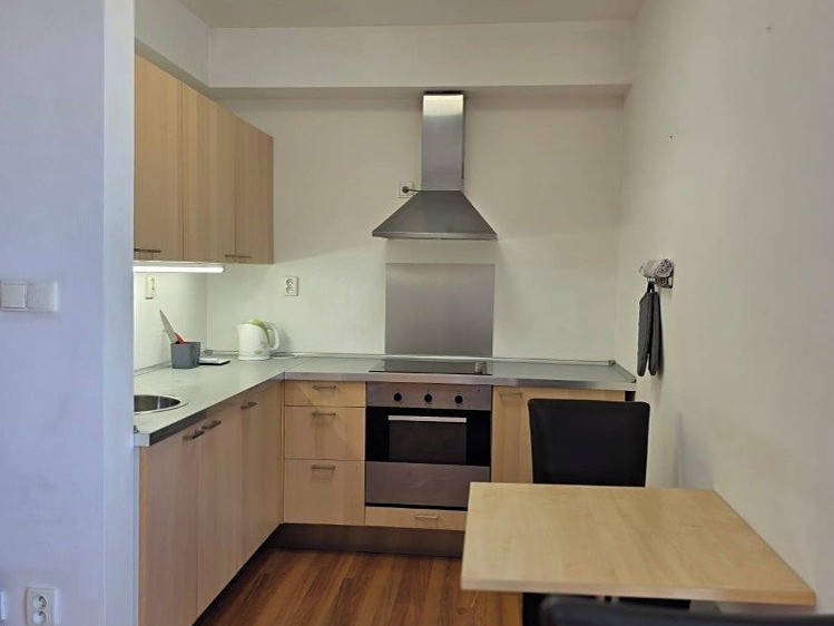 Pronájem bytu 1+kk 38 m² - foto 3