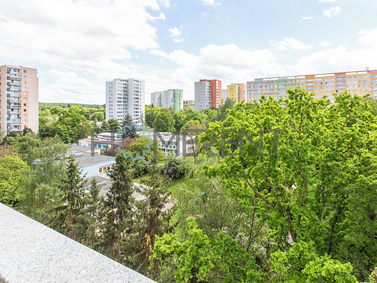 Pronájem bytu 3+1 62 m² (Jednopodlažní) - foto 4