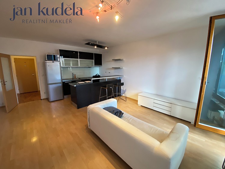 Pronájem bytu 1+kk 40 m² - foto 3