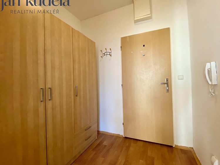 Pronájem bytu 1+kk 40 m² - foto 7