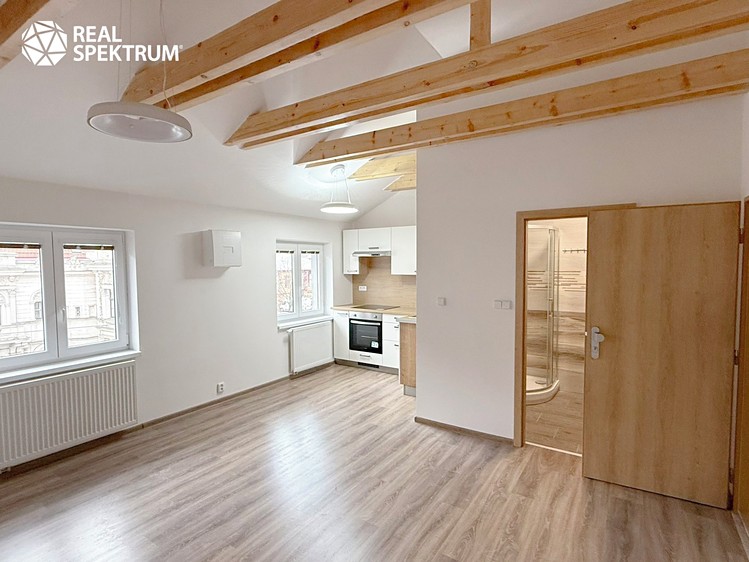 Pronájem bytu 1+kk 27 m² - foto 4