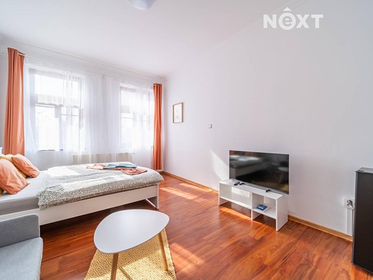 Pronájem bytu 1+kk 25 m² - foto 3