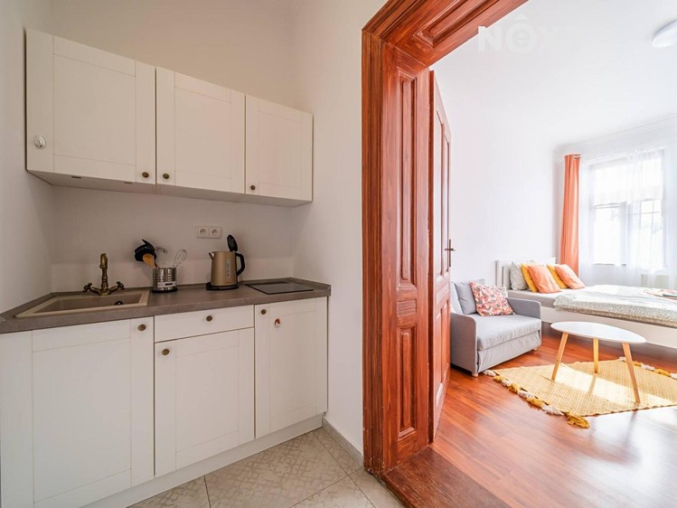 Pronájem bytu 1+kk 25 m² - foto 6