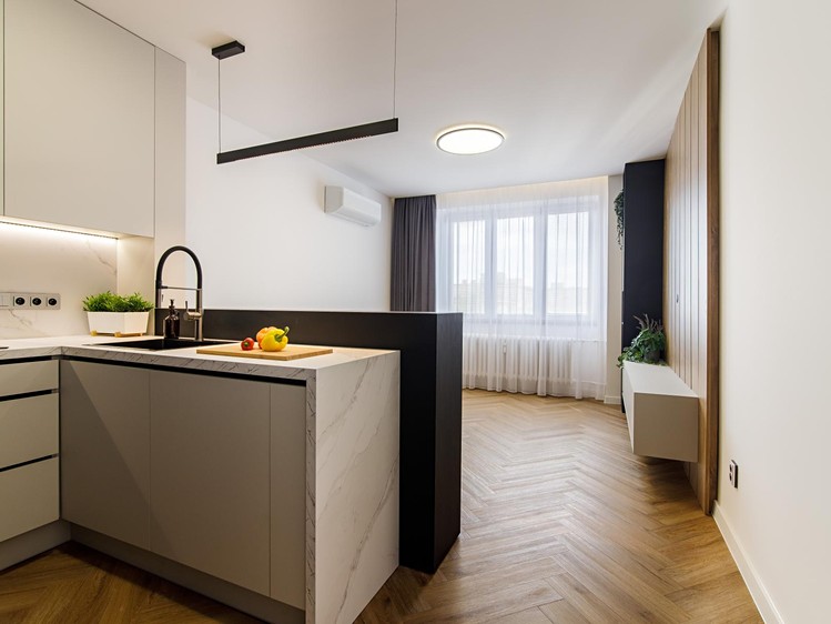 Pronájem bytu 3+kk 60 m² (Jednopodlažní) - foto 4