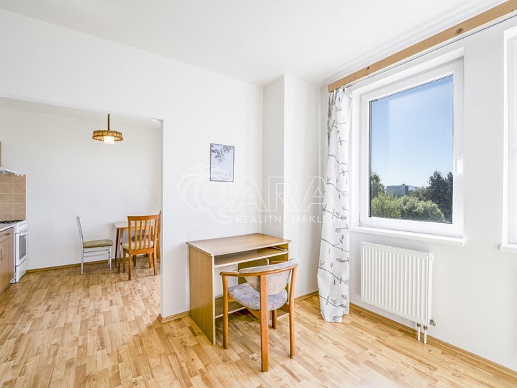 Pronájem bytu 1+kk 47 m² - foto 5