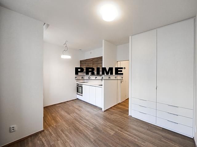 Pronájem bytu 1+kk 30 m² - foto 3