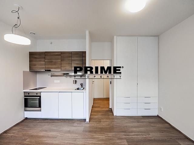 Pronájem bytu 1+kk 30 m² - foto 4