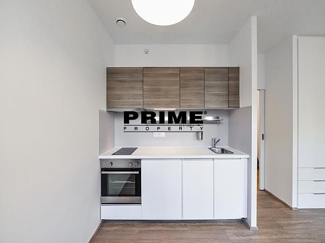 Pronájem bytu 1+kk 30 m² - foto 5