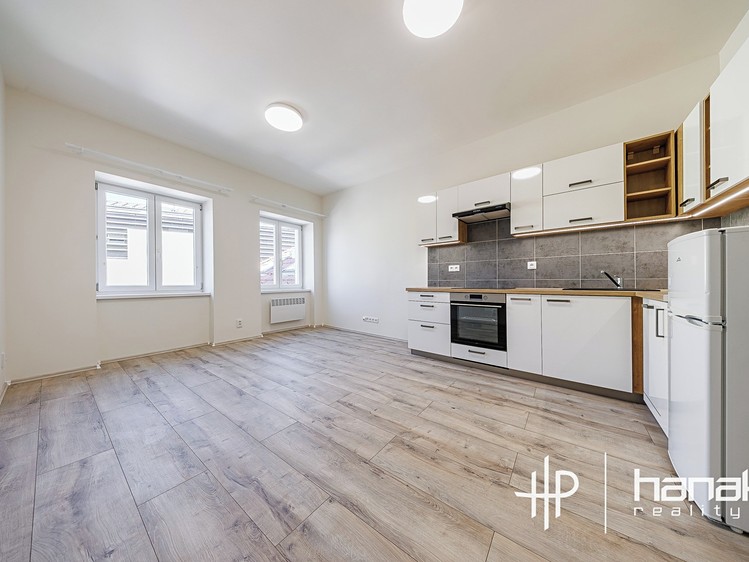Pronájem bytu 3+kk 53 m² (Jednopodlažní) - foto 3
