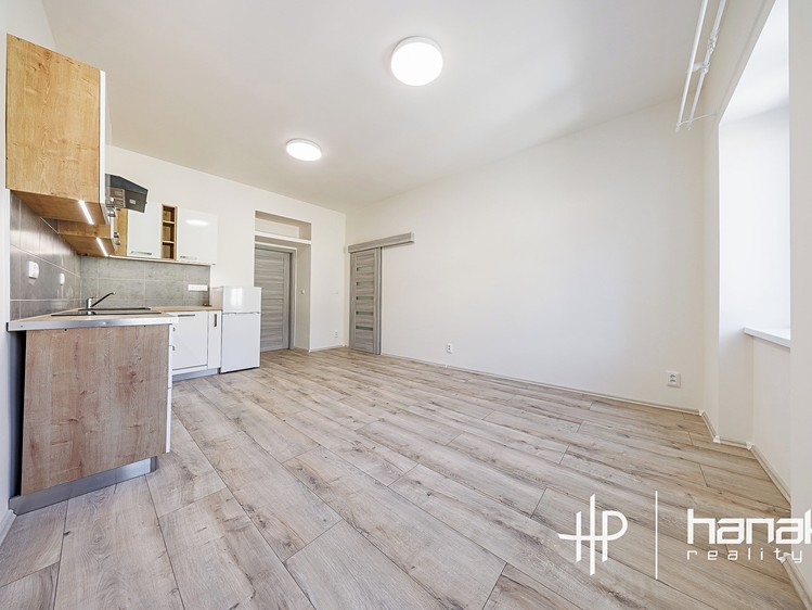 Pronájem bytu 3+kk 53 m² (Jednopodlažní) - foto 4