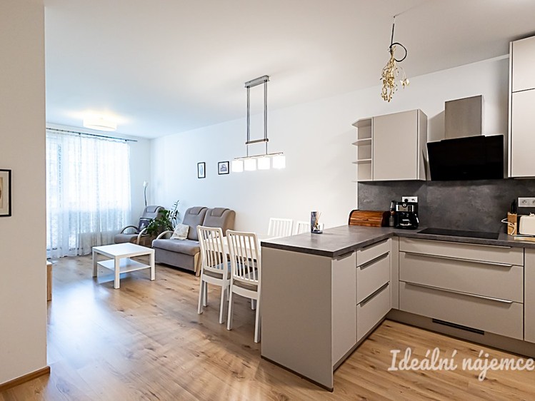 Pronájem bytu 2+kk 53 m² - foto 6