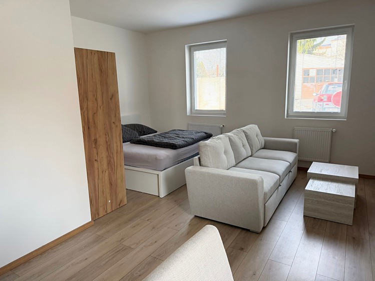 Pronájem bytu 1+kk 40 m² (Jednopodlažní) - foto 4