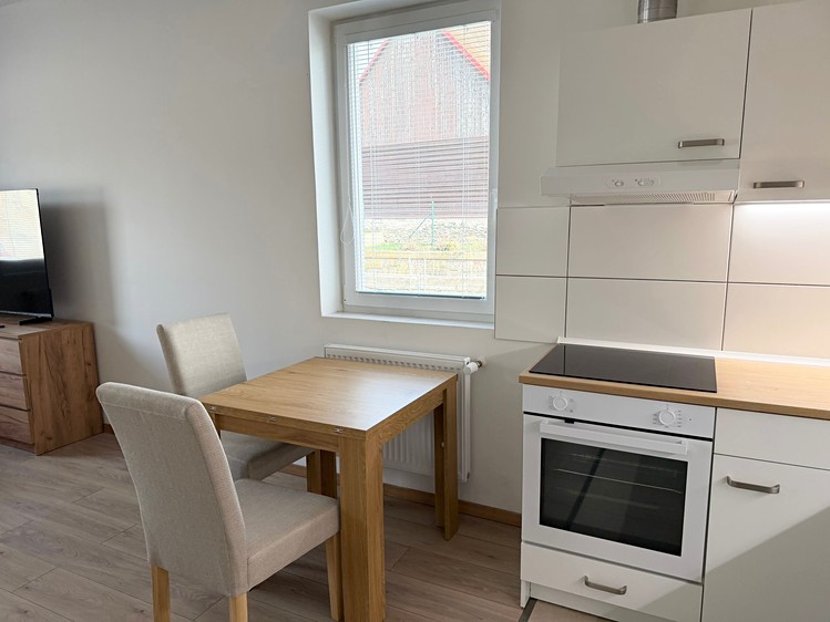 Pronájem bytu 1+kk 40 m² (Jednopodlažní) - foto 7