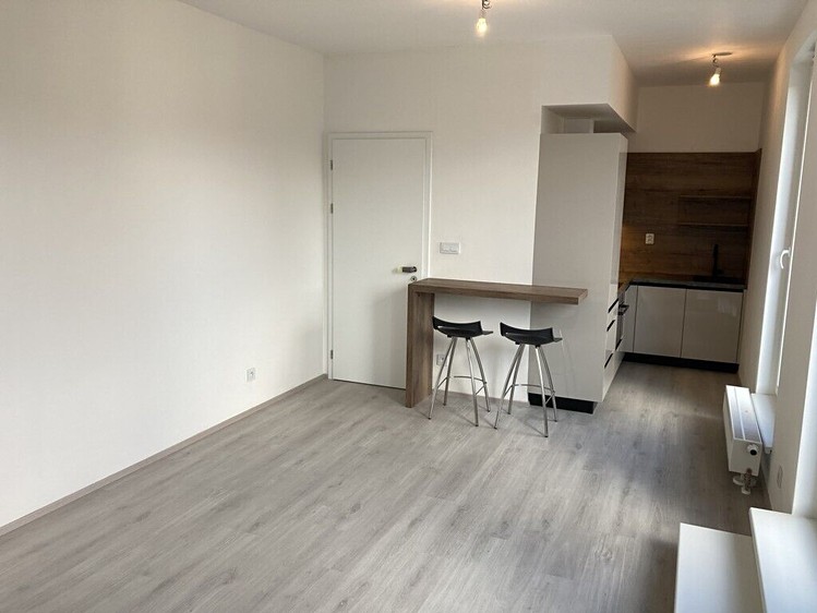 Pronájem bytu 1+kk 34 m² - foto 2