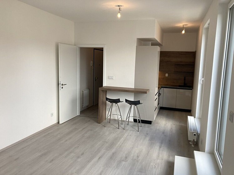 Pronájem bytu 1+kk 34 m² - foto 8