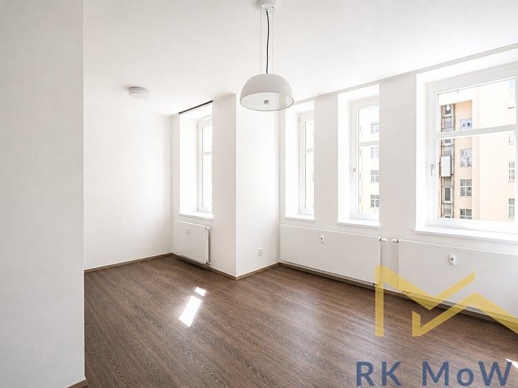 Pronájem bytu 1+kk 30 m² (Jednopodlažní) - foto 4