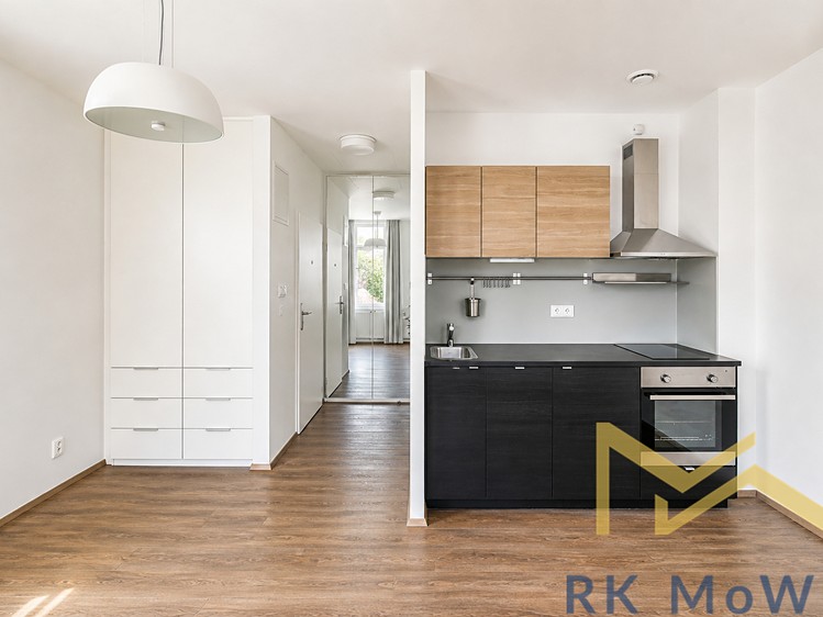 Pronájem bytu 1+kk 30 m² (Jednopodlažní) - foto 1