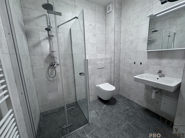 Pronájem bytu 1+kk 50 m² - foto 4