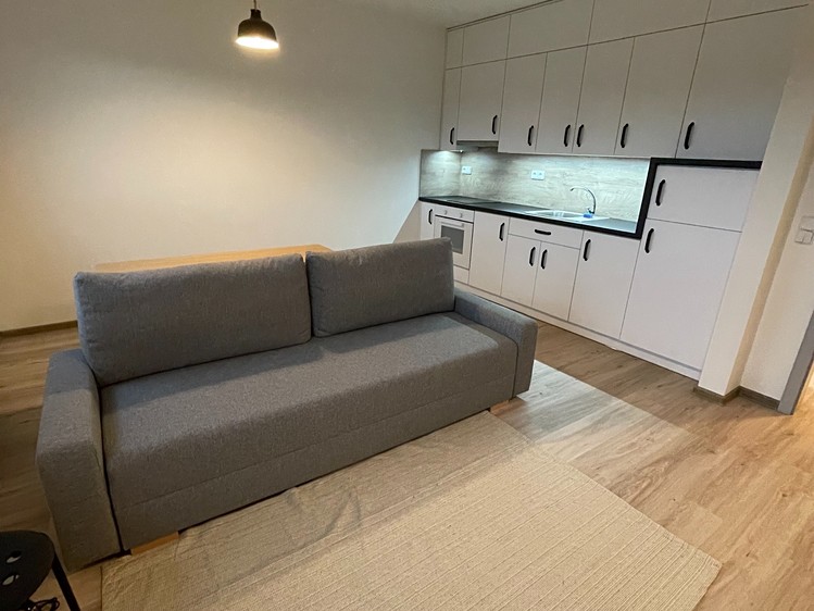 Pronájem bytu 1+kk 32 m² - foto 8
