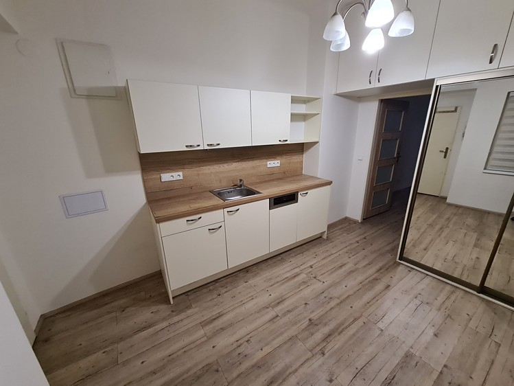 Pronájem bytu 1+kk 43 m² - foto 1