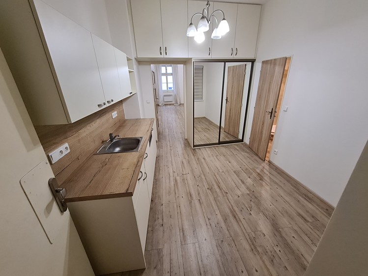 Pronájem bytu 1+kk 43 m² - foto 4