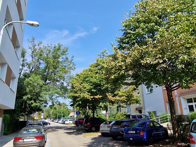 Pronájem bytu 2+kk 70 m² - foto 2