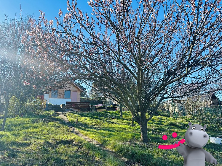 Prodej chaty 14 m², pozemek 463 m² - foto 2