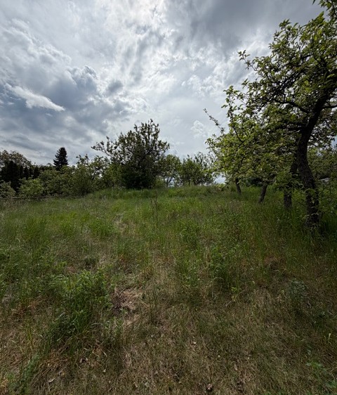 Prodej rodinného domu 203 m², pozemek 1 000 m² - foto 5