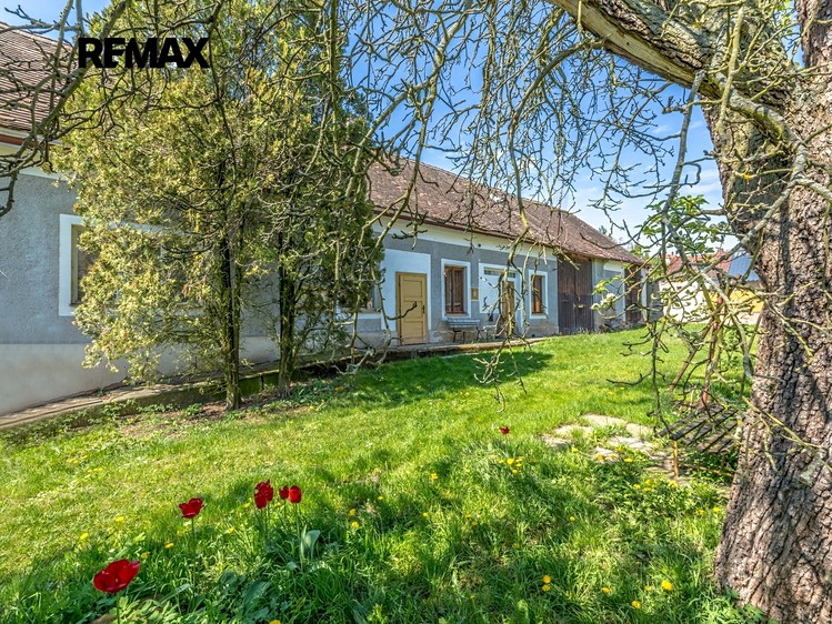 Prodej rodinného domu 180 m², pozemek 1 532 m² - foto 3