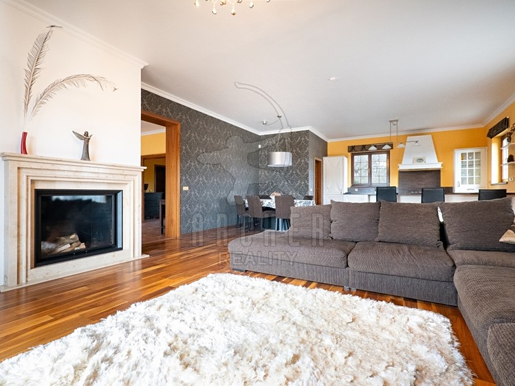 Prodej rodinného domu 308 m², pozemek 1 226 m² - foto 4