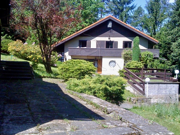 Prodej rodinného domu 250 m², pozemek 3 343 m² - foto 1
