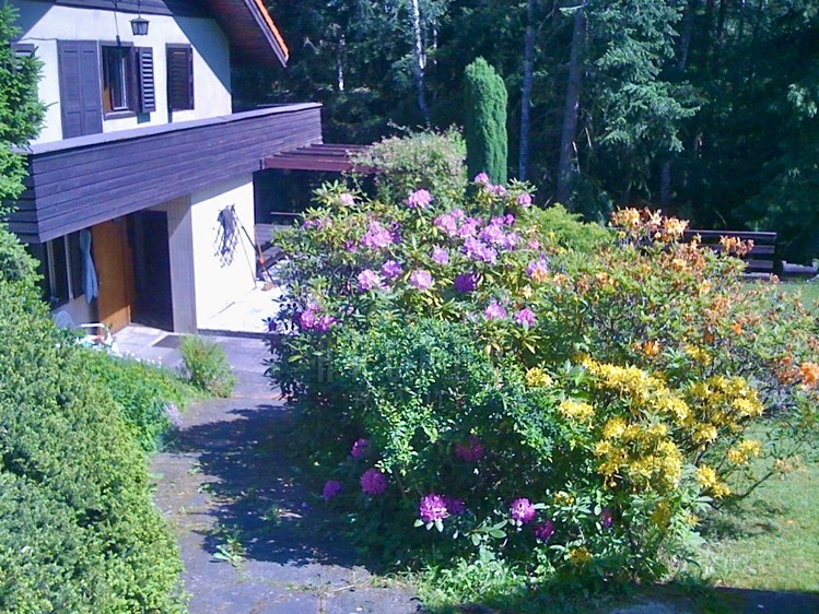 Prodej rodinného domu 250 m², pozemek 3 343 m² - foto 2