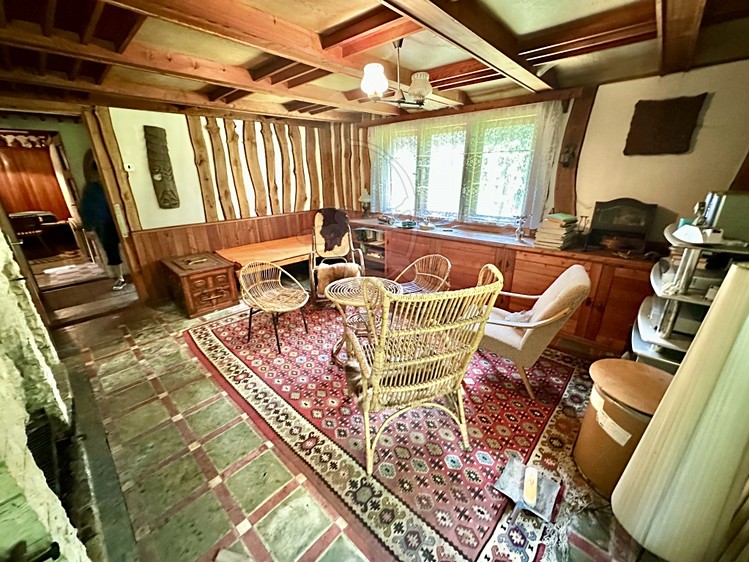 Prodej rodinného domu 250 m², pozemek 3 343 m² - foto 8